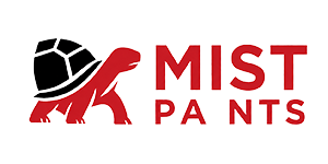 Mist paints